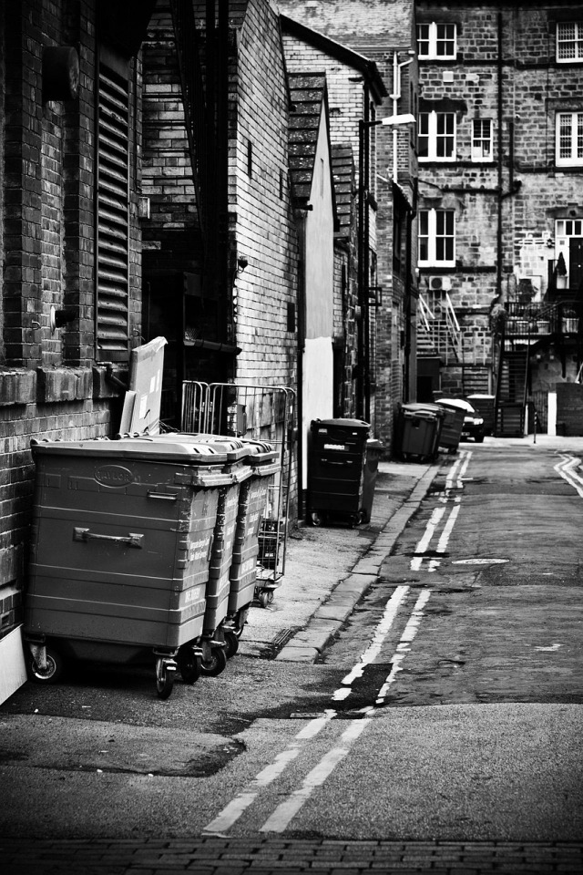 man moving wheelie bin sidewalk
